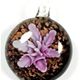 5 pc pack of  glass foil round flower pendants. 32 mm 