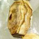 Faceted picture jasper bracelet on elastic. Approx 13 x 18mm