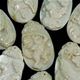 Carved shell chinese zodiac pendants. $6.00 for 12 piece sheet. 