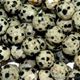 16" strand of faceted 8mm round dalmation jasper beads.