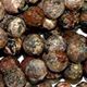 16" strand of faceted 8mm round leopardskin jasper beads.