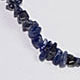 Sodalite chip choker