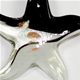 SF007- Starfish glass foil pendant
