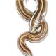 SNA005 - snake glass foil pendant
