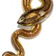 SNA009 - Snake glass foil pendant